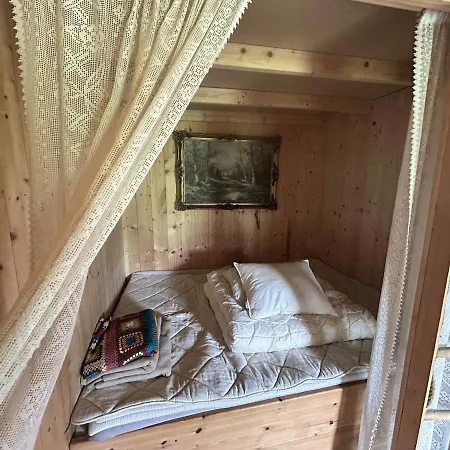 Cozy Off-grid - No Power, No Running Water 度假居 *