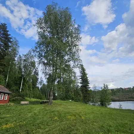 Cozy Off-grid - No Power, No Running Water Holiday home