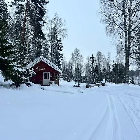 Cozy Off-grid - No Power, No Running Water * Skretteberg