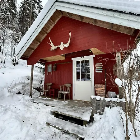 Cozy Off-grid - No Power, No Running Water * Skretteberg