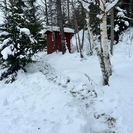 Cozy Off-grid - No Power, No Running Water